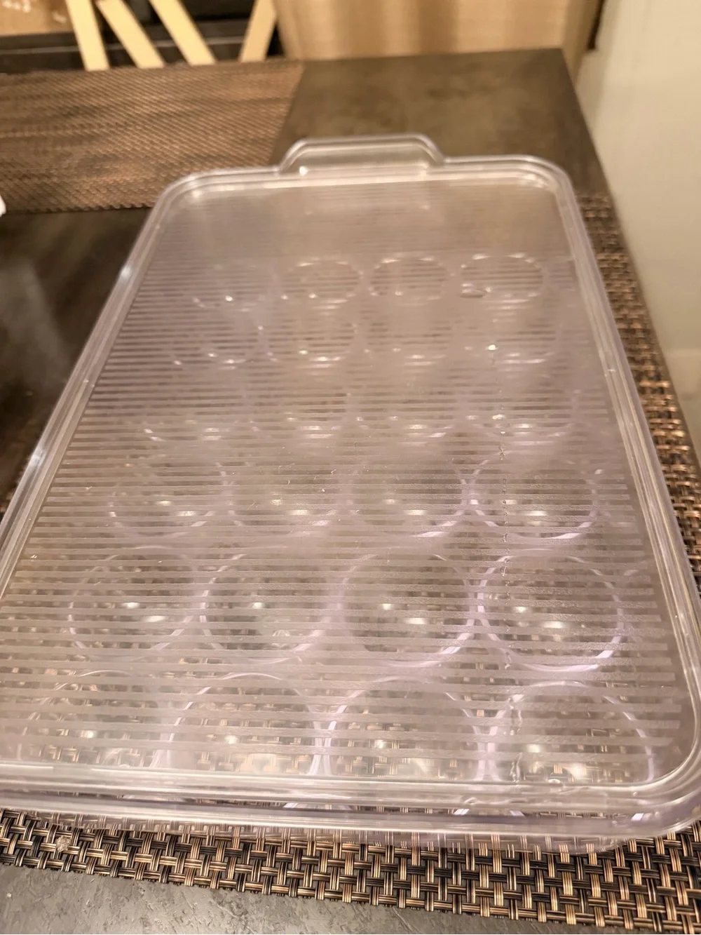 Clear Plastic 24-Cup Mold Tray